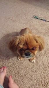 Oscar