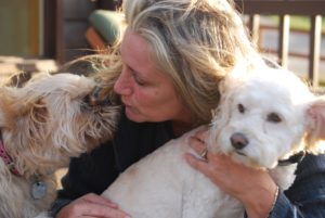 Four - blind dog with diabetes